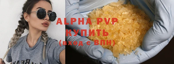 дживик Новозыбков