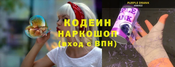 индика Нея