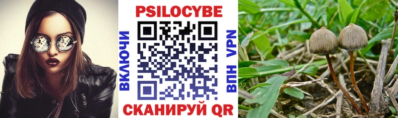 купить наркотики сайты  Южа  Псилоцибиновые грибы Psilocybine cubensis 